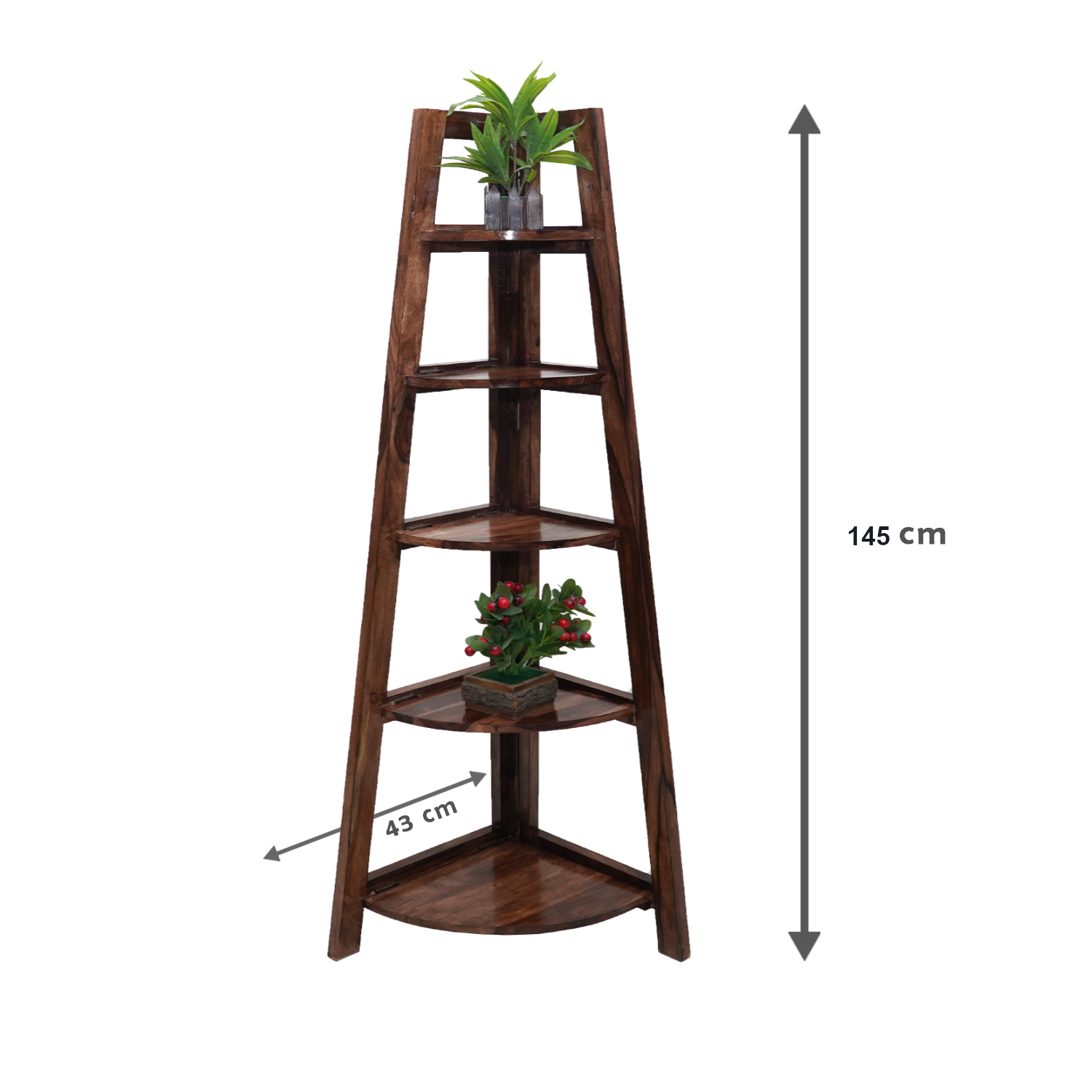 Amaltas Sheesham Wood Corner Stand cum Book Display