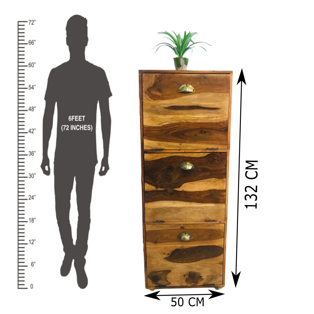 Amaltas Sheesham Wood Shoe Rack