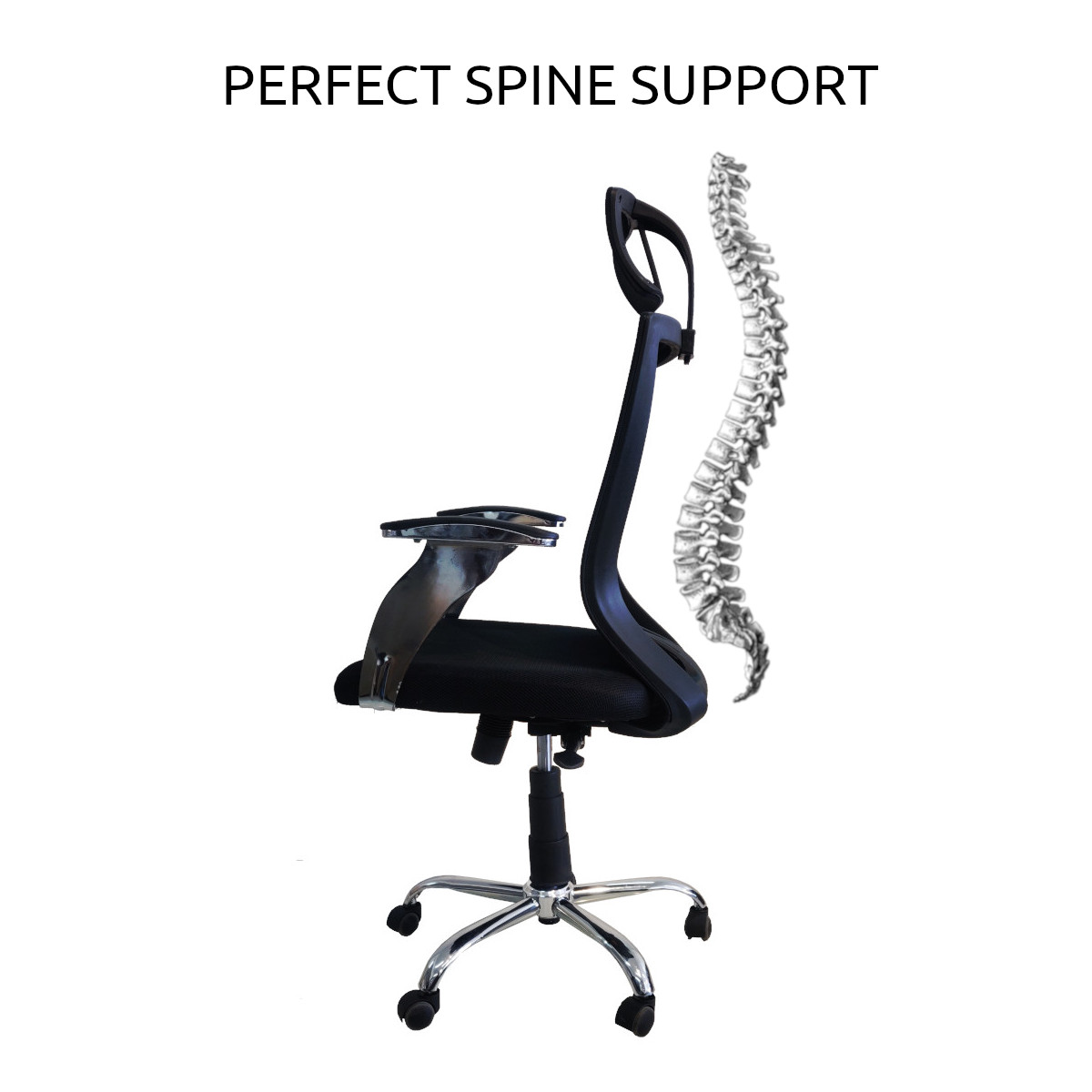 Amaltas Synchro Tilt Ergonomic Chair