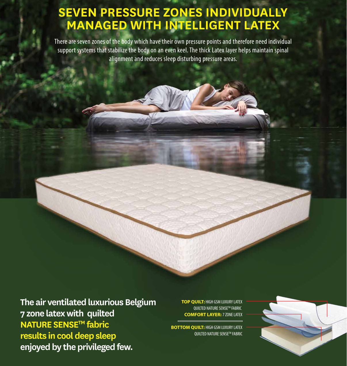 Spring Air NATURES REST Mattress